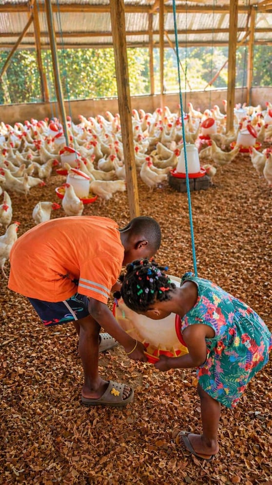 Farm operations and team at work