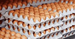 Bulk and Wholesale Supply
