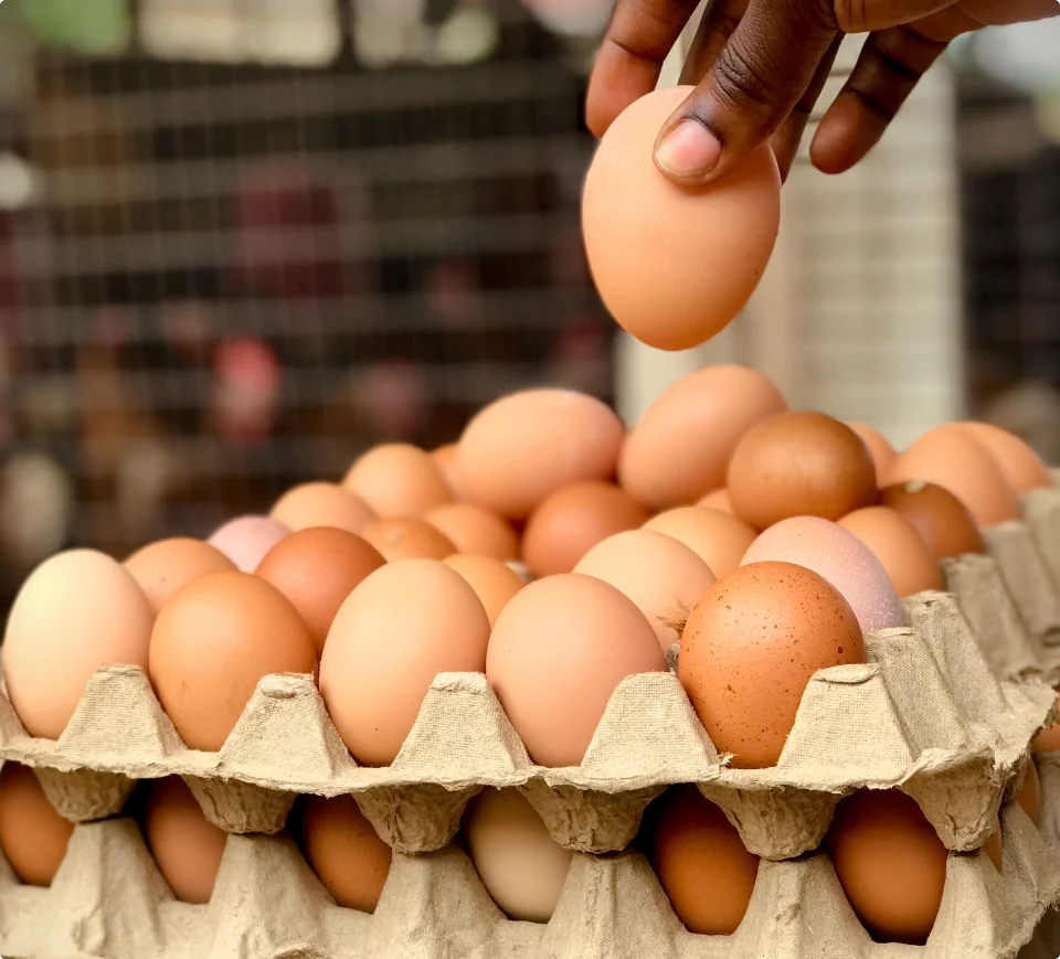 Trusted Local Source